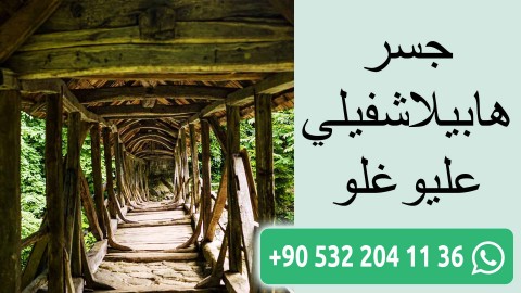 جسر هابيلاشفيلي عليوغلو